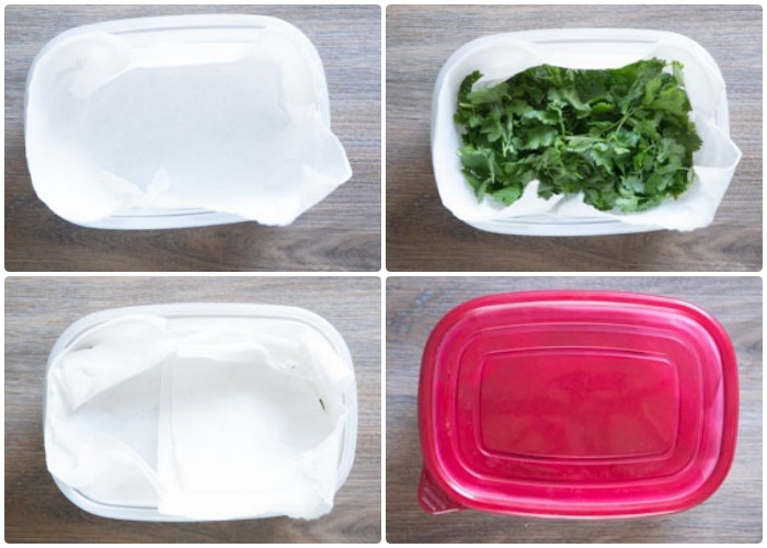 Làm cách này, rau mùi để vài tuần trong tủ lạnh vẫn tươi như vừa mới hái - 5