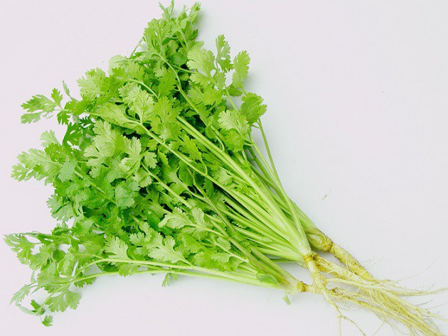 Làm cách này, rau mùi để vài tuần trong tủ lạnh vẫn tươi như vừa mới hái - 1