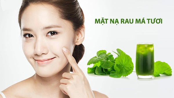 10 Cách làm mặt nạ rau má giúp trị mụn dưỡng da trắng sáng mịn màng - 6