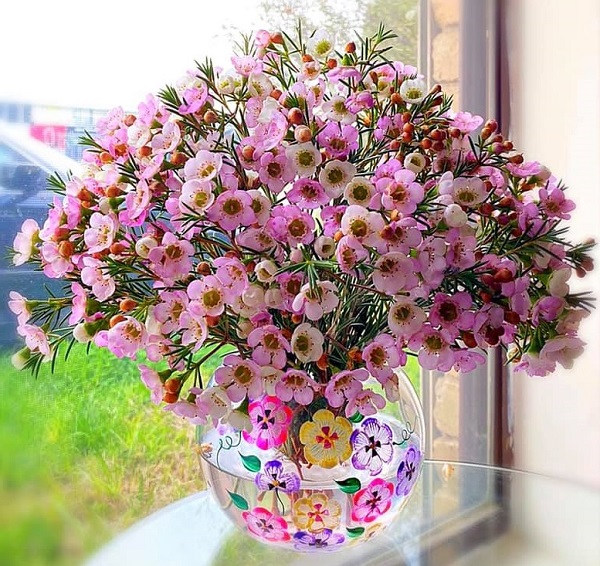 Ý nghĩa hoa Thanh Liễu, đặc điểm, cách trồng và cắm hoa sao cho bền lâu - 7