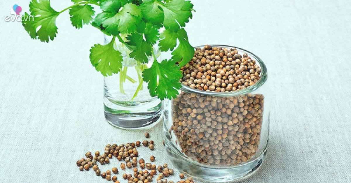 Tác dụng của rau mùi là gì? Uống nước rau mùi có lợi không?