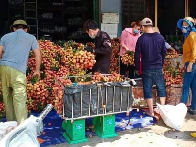 Thông tin bất ngờ vụ bán vải đầu mùa ở Bắc Giang bị ép giá còn 2.000 đồng/kg