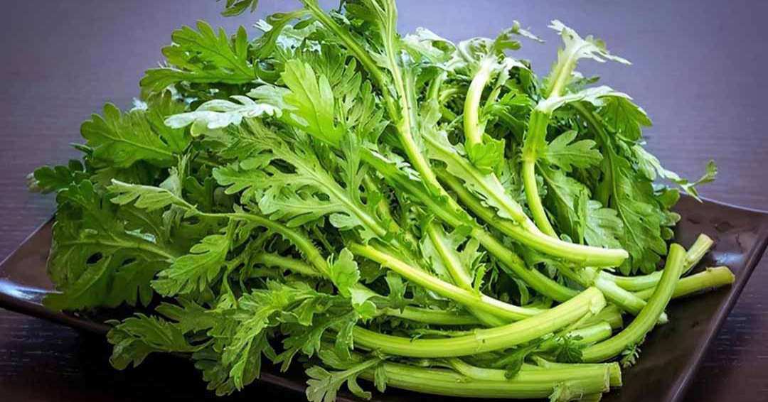 Tác dụng của rau tần ô là gì? - 1