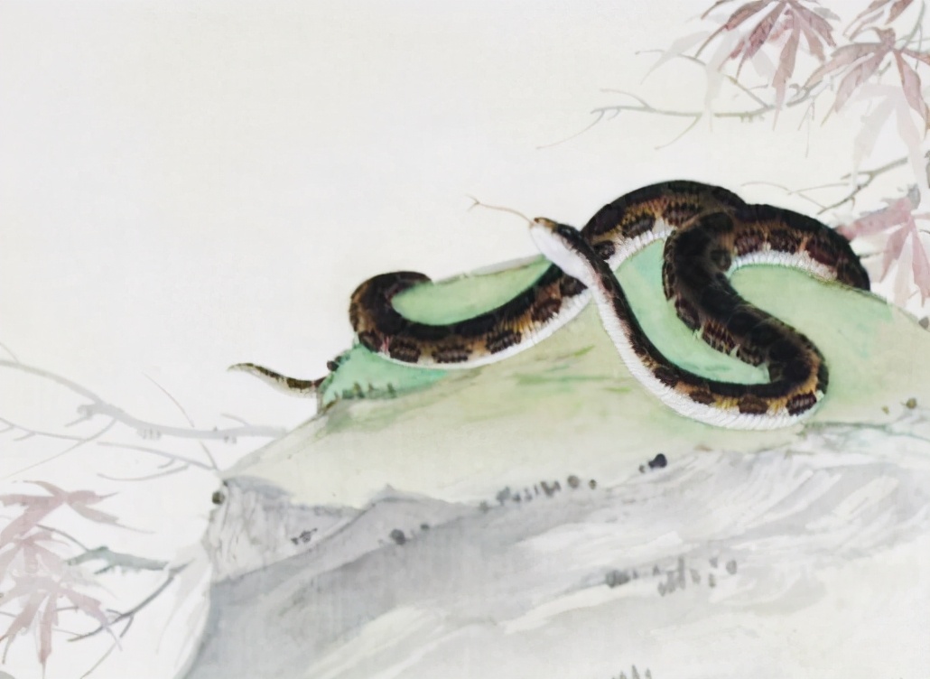 Tuổi Tỵ sinh vào những tháng này muốn nghèo cũng khó - 1