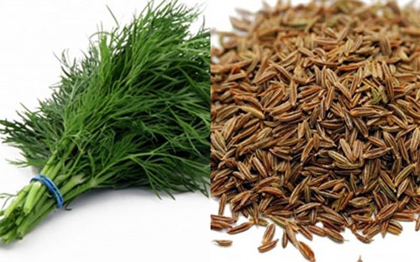 Tác dụng và tác hại của rau thì là - 1