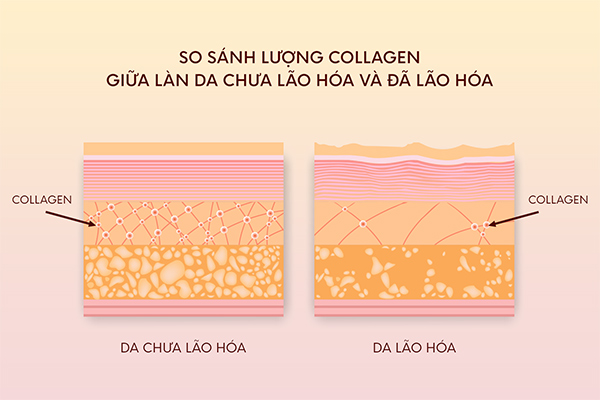 Collagen bổ sung Saffron, xu hướng đang được cộng đồng làm đẹp ưa chuộng
