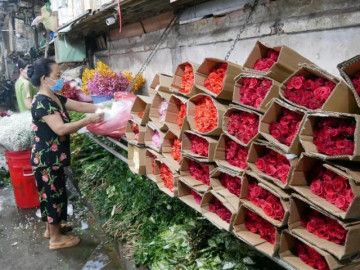 Chợ hoa Đầm Sen, TP.HCM mở cửa phục vụ dịp Tết Đoan Ngọ: Mua nhanh, bán lẹ, tránh tụ tập