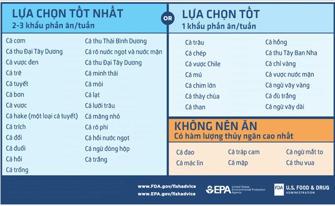 Trẻ ăn cá thông minh, riêng 3 món cá này ăn càng nhiều càng dễ hỏng não - 5