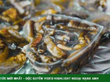 Thạch giun biển, món ăn trông đáng sợ nhưng thử một lần lại dễ nghiện - Vimarsana News