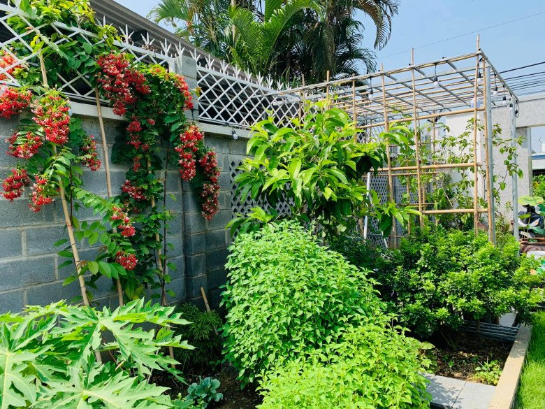 Mẹ đảm Đồng Nai được chồng tặng nhà vườn 720m2, đẹp như khu du lịch - 13