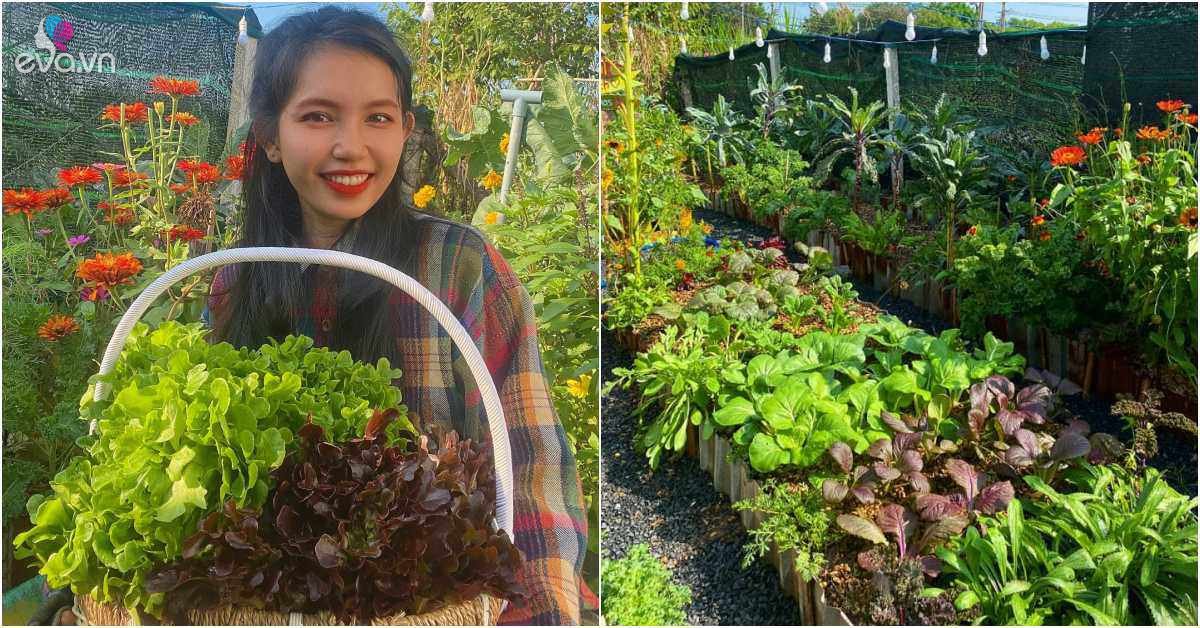 Read more about the article Mẹ Sài Gòn “đóng giường” trồng rau, được khu vườn cầu vồng 180m2 thứ gì cũng có