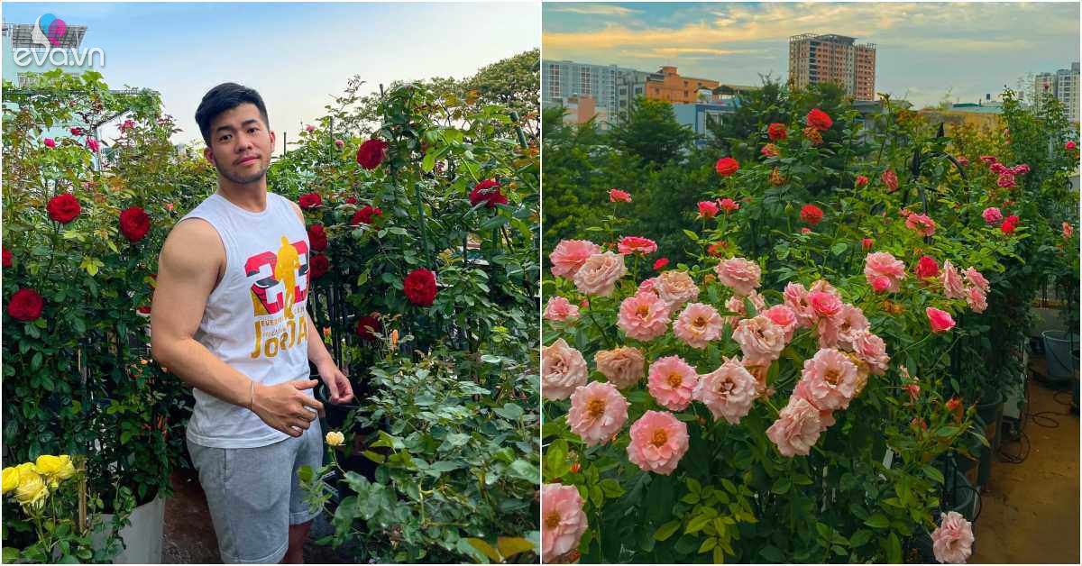 Read more about the article Trai đẹp Sài Gòn trồng hồng ngoại trên sân thượng, được khu vườn ngát hương, hoa cắm không xuể