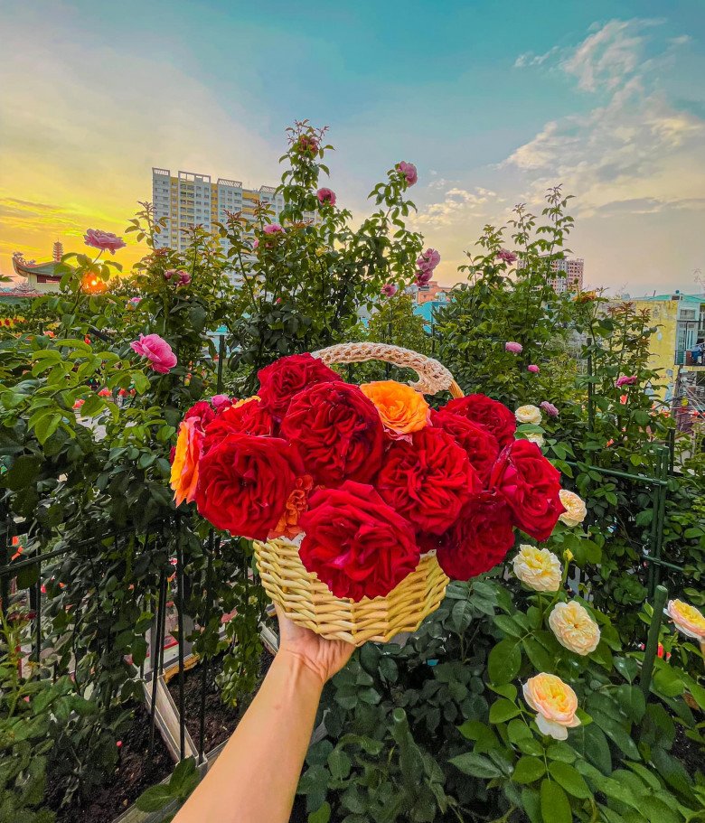 Trai đẹp Sài Gòn trồng hồng ngoại trên sân thượng, được khu vườn ngát hương, hoa cắm không xuể - 11
