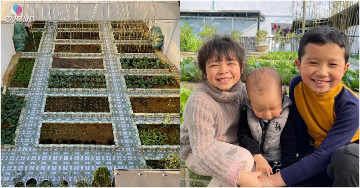 Read more about the article San phẳng mảnh đất bố chồng tặng để trồng rau, mẹ đảm Mộc Châu được vườn 150m2 tuyệt đỉnh