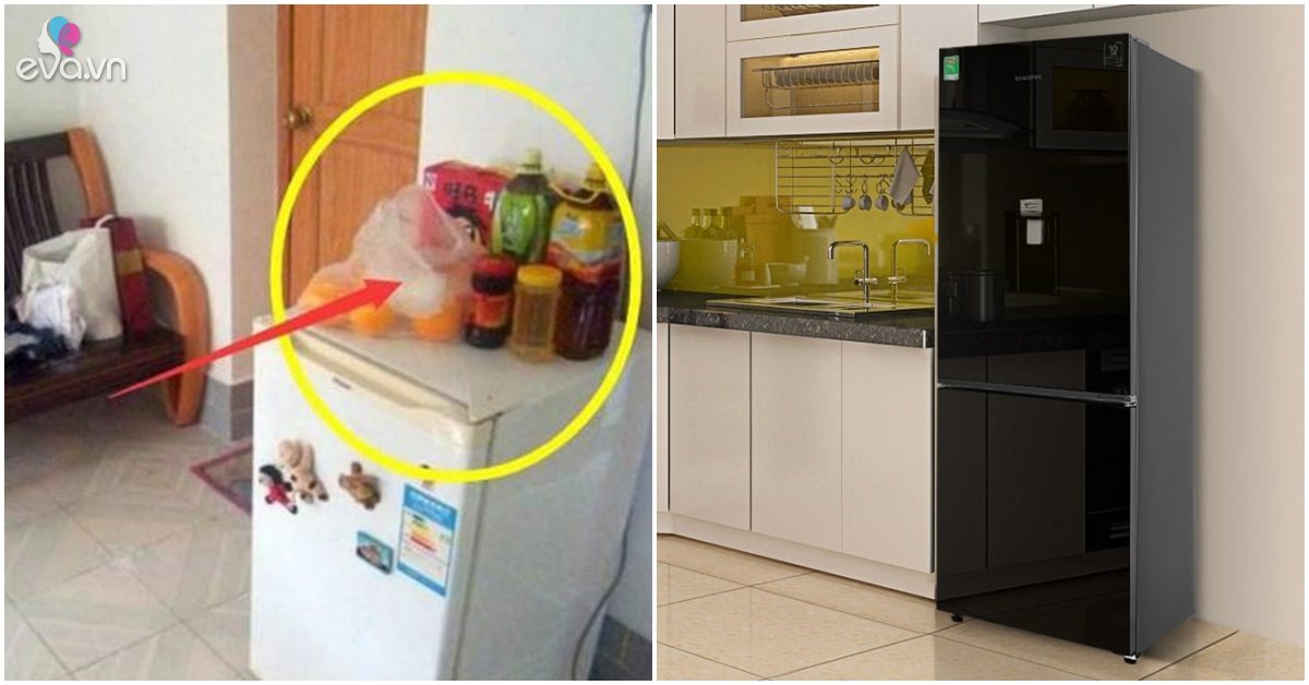 Read more about the article Tủ lạnh là “hố vàng” kín trong nhà, làm đúng những điều này hút lộc hơn két sắt