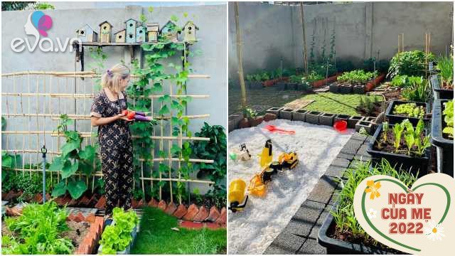 Read more about the article Mẹ đảm Đắk Lắk cải tạo đất trống thành vườn rau sạch và sân chơi cho con