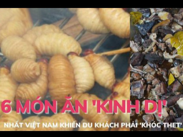 6 món ăn kinh dị nhất Việt Nam khiến du khách phải khóc thét