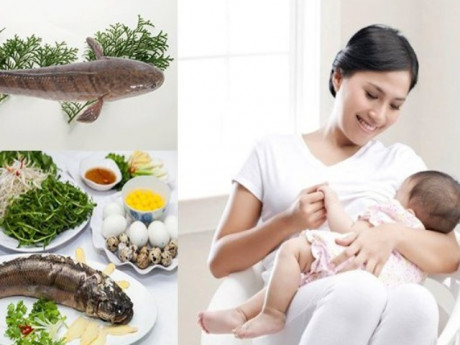 Bà đẻ ăn được cá gì để tốt cho sức khỏe sau sinh?