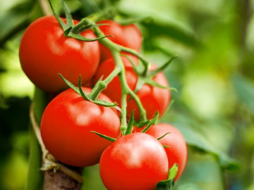 Cách chế biến cà chua bổ dưỡng số 1 thay vì ăn sống