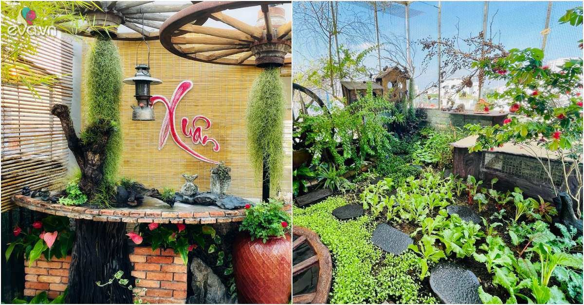 Read more about the article Vườn sân thượng đẳng cấp của cô giáo Tân Phú: Đổ đất cao 1 tấc, đẹp như vườn cổ tích