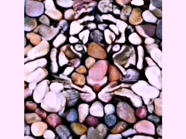 Trắc nghiệm tâm lý: Bạn nhìn con hổ hay viên đá đầu tiên trong bức tranh này? 