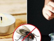 7 chiêu độc khiến ruồi muỗi “dạt nhà” đi xa không dám quay lại