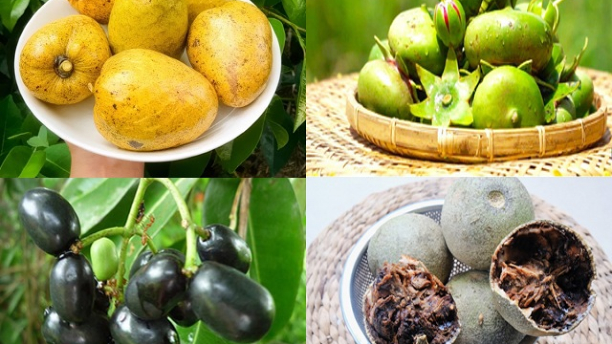 4 Loại Quả Xưa Có Đầy Không Ai Hái, Giờ Thành Đặc Sản Nổi Tiếng Giá Ngất  Ngưởng Thu Hút Người Mua