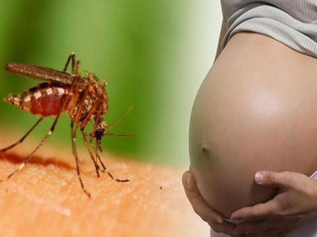 Phụ nữ mang thai có truyền virus Dengue gây bệnh sốt xuất huyết cho con không?