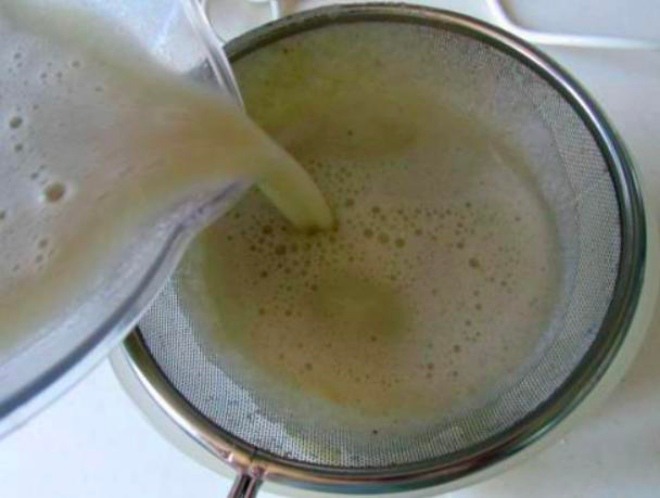 3 loại cây rất thích uống “sữa đậu nành”, cứ 10 ngày tưới 1 lần lá sẽ xanh ngắt - 1