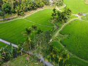 Xem ăn chơi - Thăm làng cổ Lộc Yên ở miền trung du xứ Quảng
