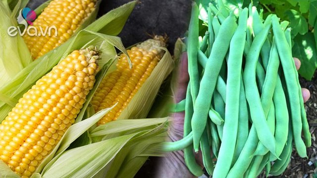 Những loại rau củ quả ít và nhiều thuốc trừ sâu nhất, đi chợ mà thấy ...