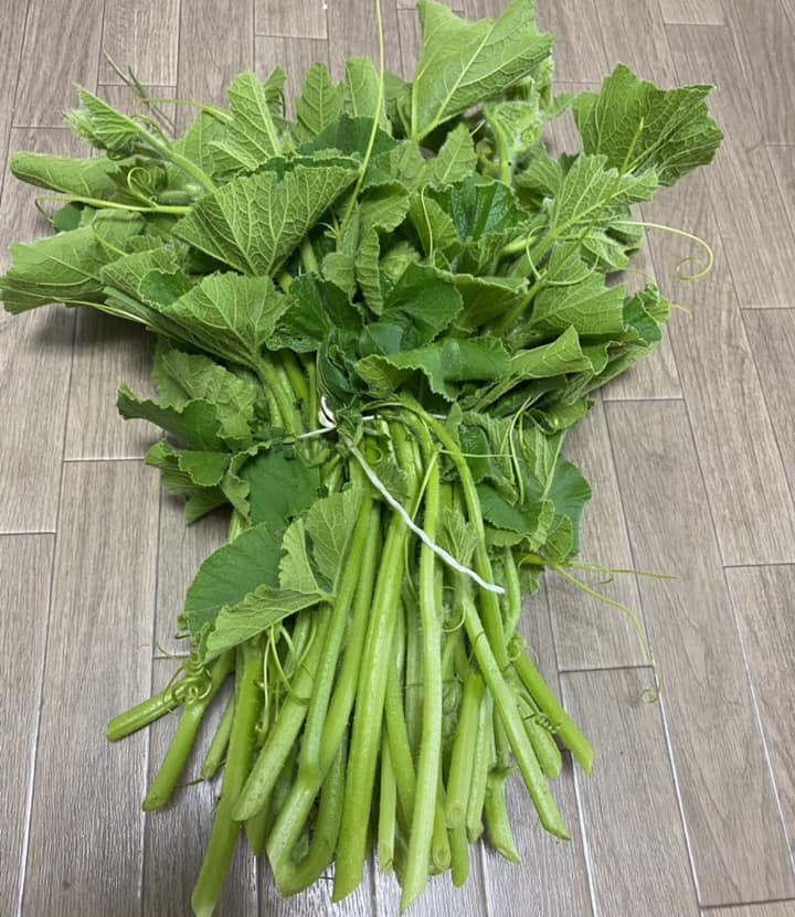 Rau bí vào mùa, học ngay mẹ đảm cách tước xơ sạch bách, mướt mắt ăn ...