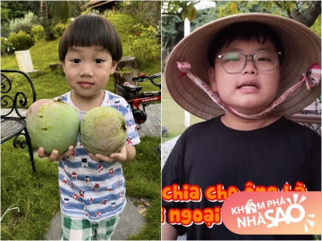 Vợ Xuân Bắc chia sẻ cảnh thu hoạch xoài trong biệt phủ, quý tử đáng yêu 2 tay 2 trái to đã mắt