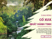 Clip Eva - Quay ngược quá khứ về thời cổ đại tại 5 khu rừng cổ xưa nhất hành tinh