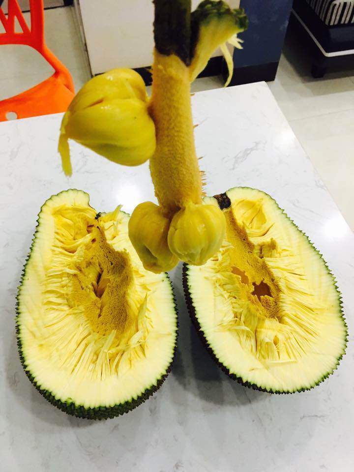 nguoi ban hang keu “mit nay hot nho” co gai tin loi va cai ket khong the doi lua hon - 1
