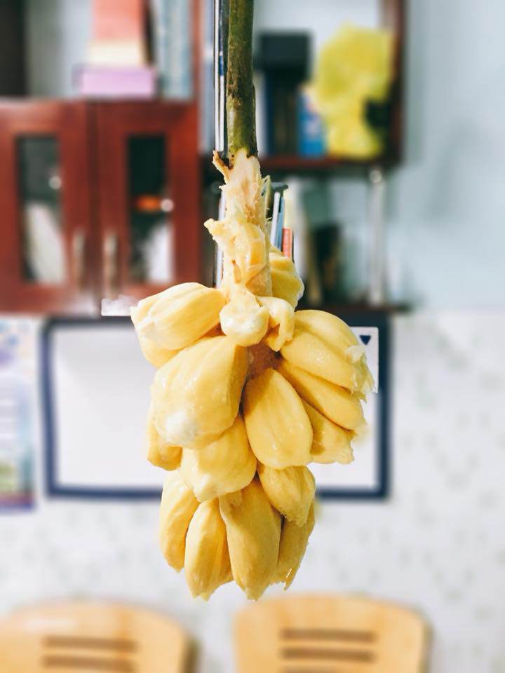 nguoi ban hang keu “mit nay hot nho” co gai tin loi va cai ket khong the doi lua hon - 7