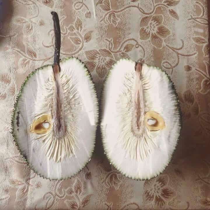nguoi ban hang keu “mit nay hot nho” co gai tin loi va cai ket khong the doi lua hon - 3