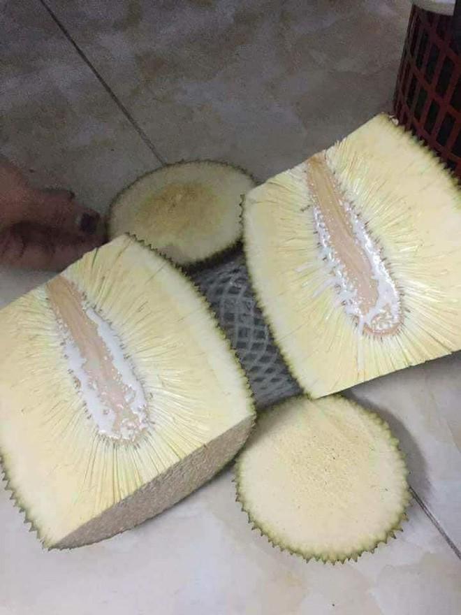 nguoi ban hang keu “mit nay hot nho” co gai tin loi va cai ket khong the doi lua hon - 2