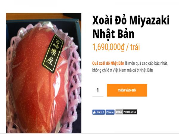 xem can canh qua xoai do nhat ban 1,7 trieu moi trai dang 'chay hang' o viet nam - 2