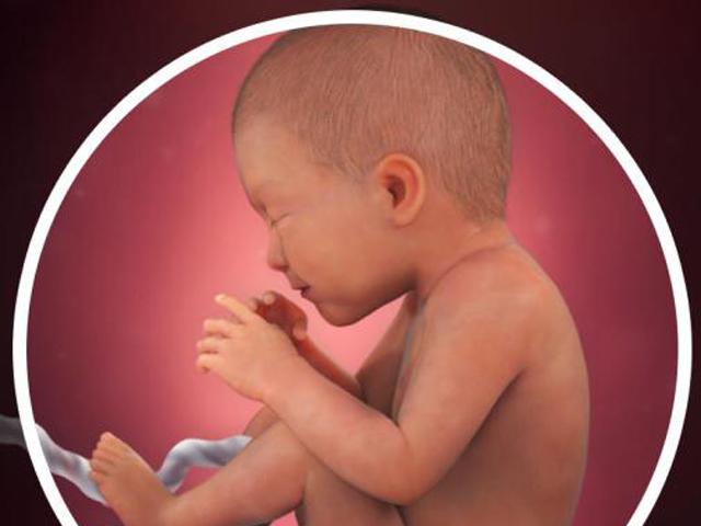 Thai nhi 35 tuần tuổi: Bé bớt nhào lộn