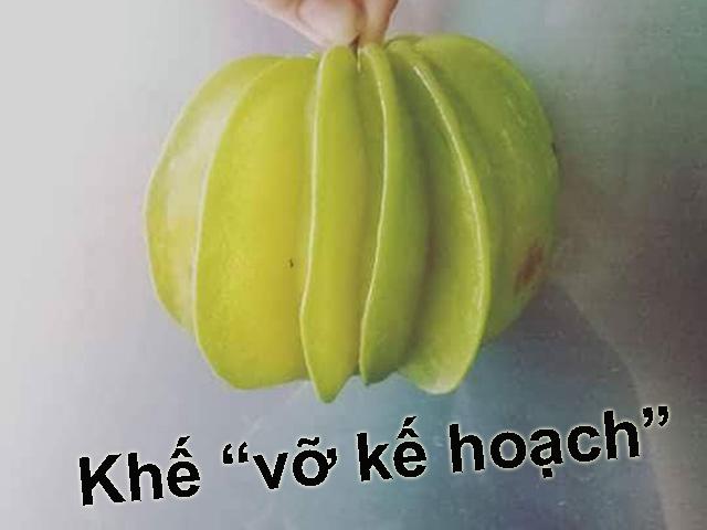 Tuyển tập trái cây đem biếu nhà chồng, đảm bảo ấn tượng dài lâu