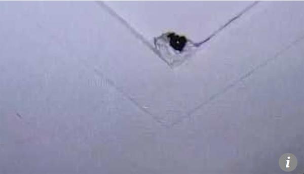 dang "an ai" trong phong khach san, cap doi giat minh phat hien camera quay len tren tran nha - 1