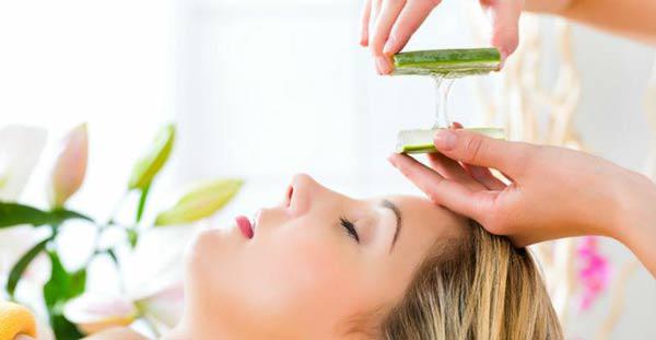 Cách trồng cây nha đam để vừa có mỹ phẩm làm đẹp da vừa có món giải nhiệt - 8
