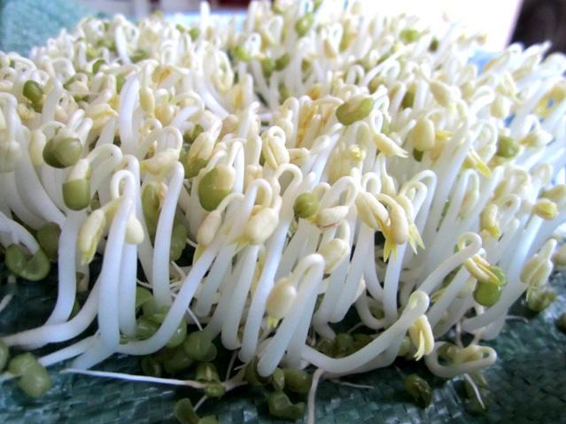 cach lam banh xeo gion ngon, an choi da mieng - 2