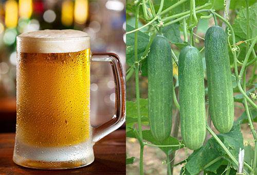 cach tri mun boc tra lai lan da cang bong, ai ma khong biet la phi ca doi! - 4