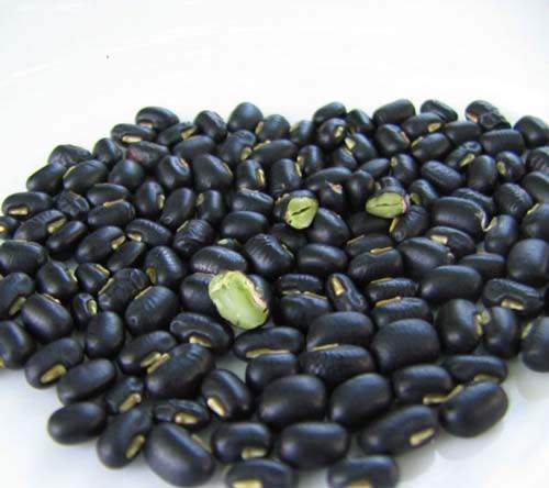 phat them nguoi ta "an nhieu ma khong beo" boi ban chua biet den nguyen tac vang nay - 5