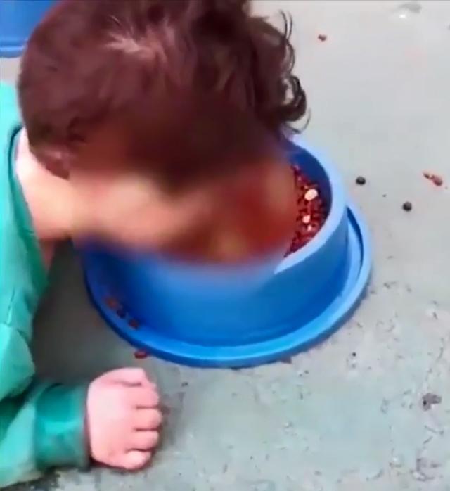 me bat con trai 2 tuoi quy goi an thuc an cua cho lam day song cong dong mang - 1