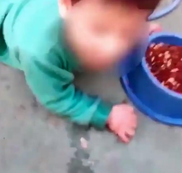 me bat con trai 2 tuoi quy goi an thuc an cua cho lam day song cong dong mang - 2