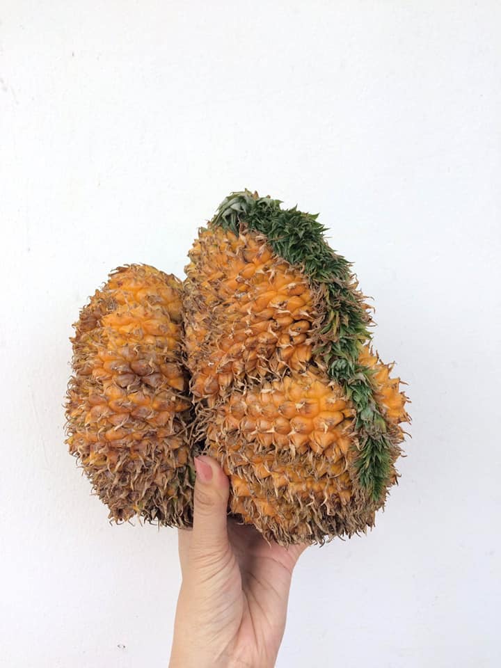 chi em dam dang got duoc qua dua nay, khong me chong nao khong nhan con dau - 4