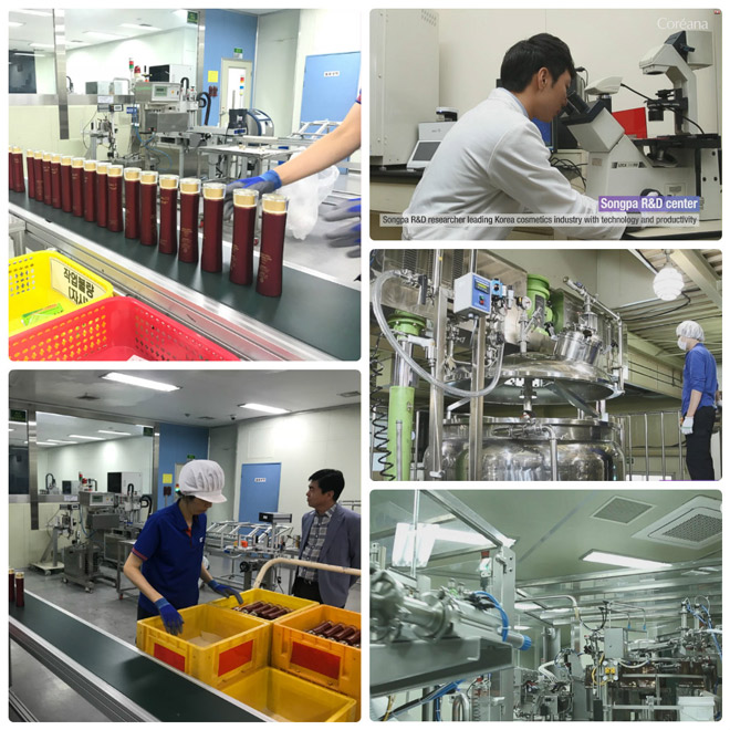 du lich han quoc va nhung trai nghiem thu vi tai nha may san xuat my pham coreana danh tieng - 8